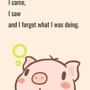 Meet your Posher, Jona